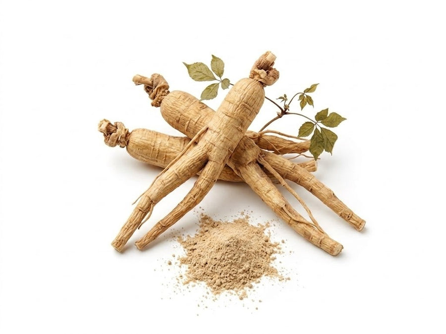 Екстракт от джинджифил (Zingiber Officinale Root Extract)